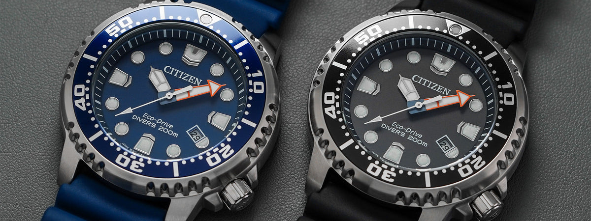 Citizen Dive Watches Guide | Teddy Baldassarre