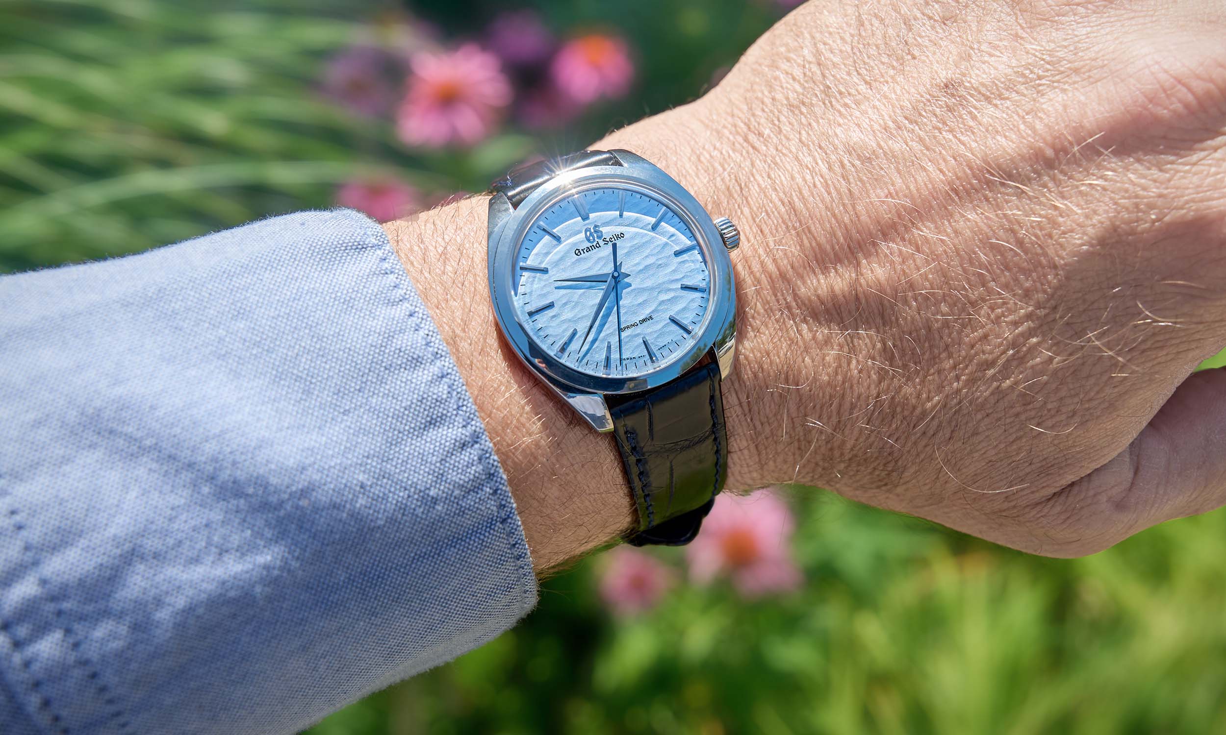 Best Light Blue Watches: Entry-Level to Luxury Picks