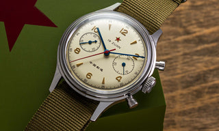 seagull 1963