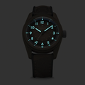 Sector II Field Titanium FDE 38mm - Brown on Rubber Strap
