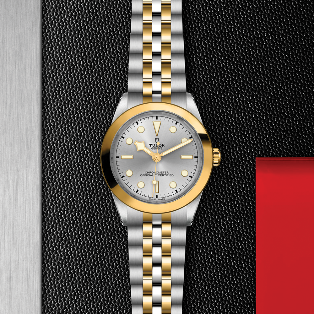 Black Bay One S&G 39mm - Silver on Bracelet
