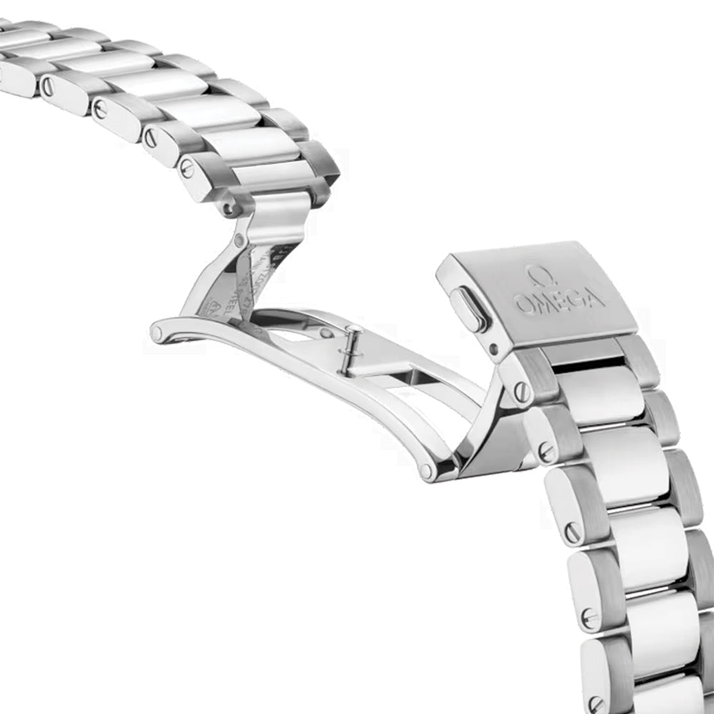Seamaster Aqua Terra 150M 41mm - Silver on Bracelet