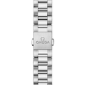 Seamaster Aqua Terra 41mm - Green on Bracelet