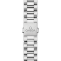 Seamaster Aqua Terra 38mm - Black on Bracelet