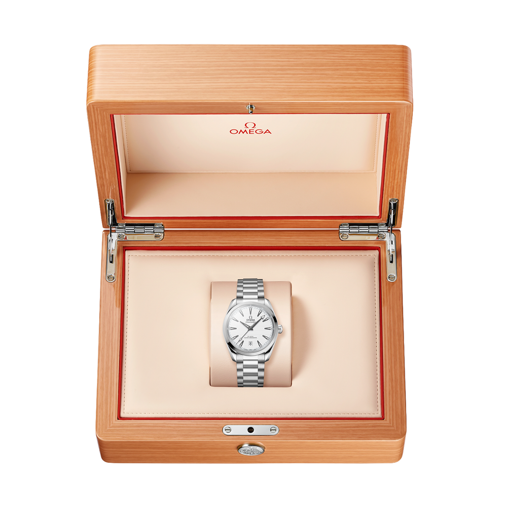 Seamaster Aqua Terra 38mm - Silver on Bracelet