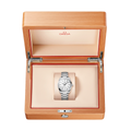 Seamaster Aqua Terra 38mm - Silver on Bracelet