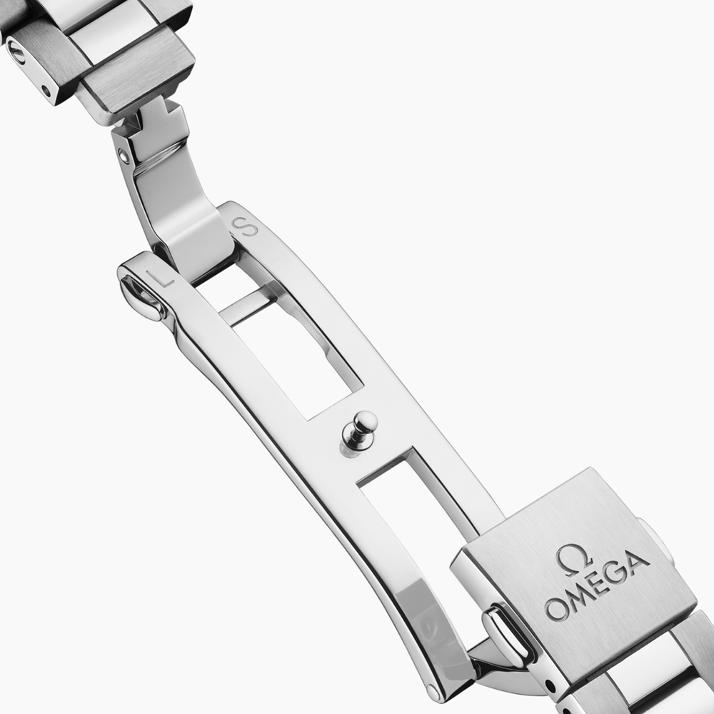 Seamaster Aqua Terra 41mm - Silver on Bracelet