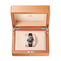 Seamaster Aqua Terra 41mm - Brown on Rubber Strap