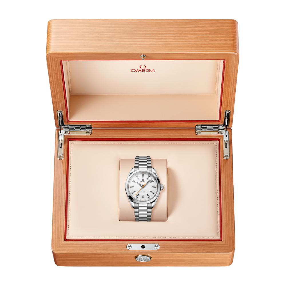 Seamaster Aqua Terra 41mm - Silver on Bracelet