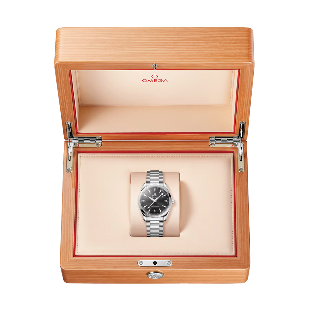 Seamaster Aqua Terra 38mm - Black on Bracelet