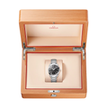 Seamaster Aqua Terra 38mm - Black on Bracelet