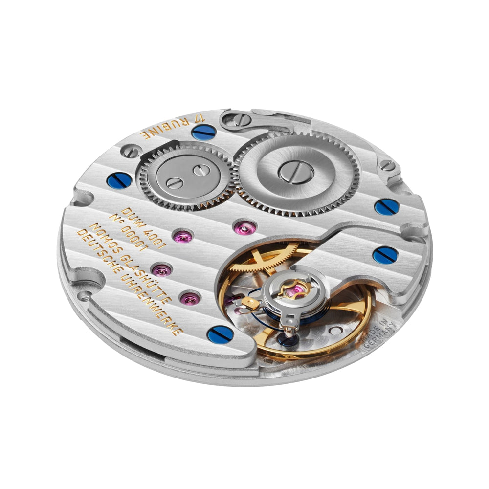 Tetra Salvia Sapphire Back 29.5mm - Sage Green on Strap