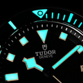 Pelagos LHD Titanium 42mm - Black on Bracelet w/ Extra Rubber Strap