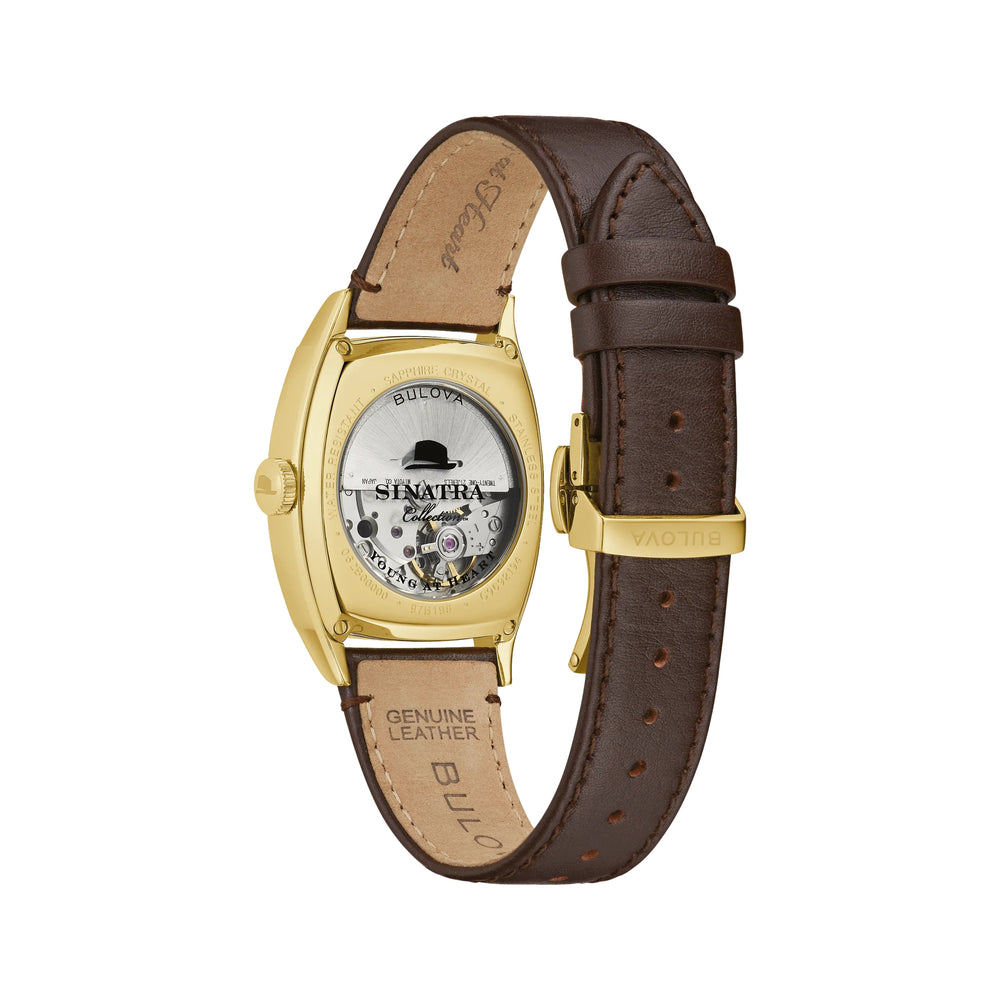 Young at Heart Gold-Tone 33.5mm - Brown on Leather Strap