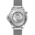 Seamaster Diver 300M 
