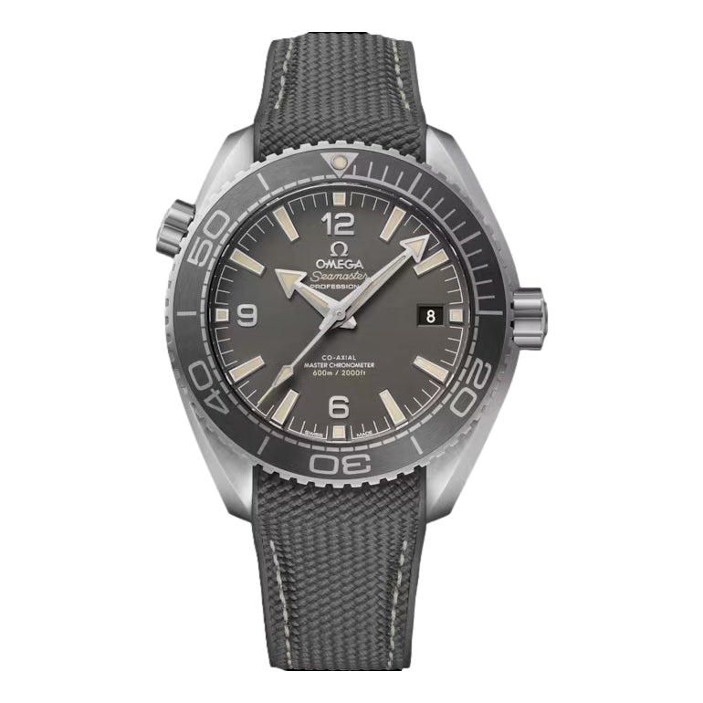 Seamaster Planet Ocean 600M Co-Axial Master Chronometer 43.5 mm - Grey on Strap
