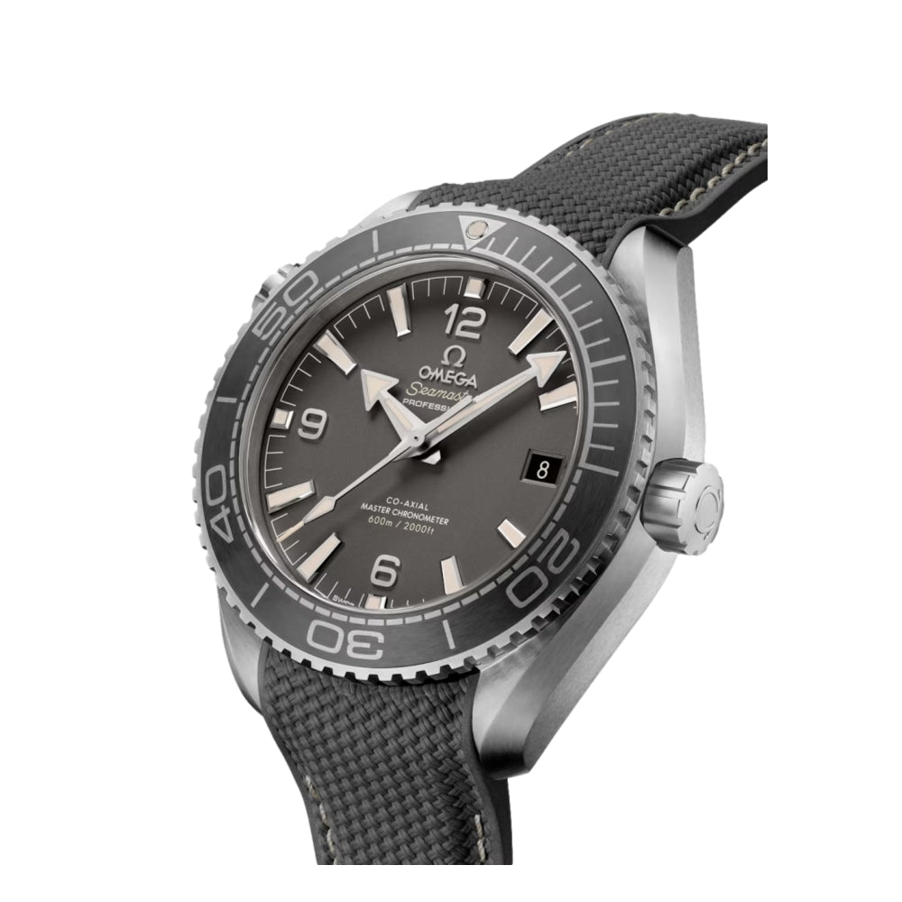 Seamaster Planet Ocean 600M Co-Axial Master Chronometer 43.5 mm - Grey on Strap