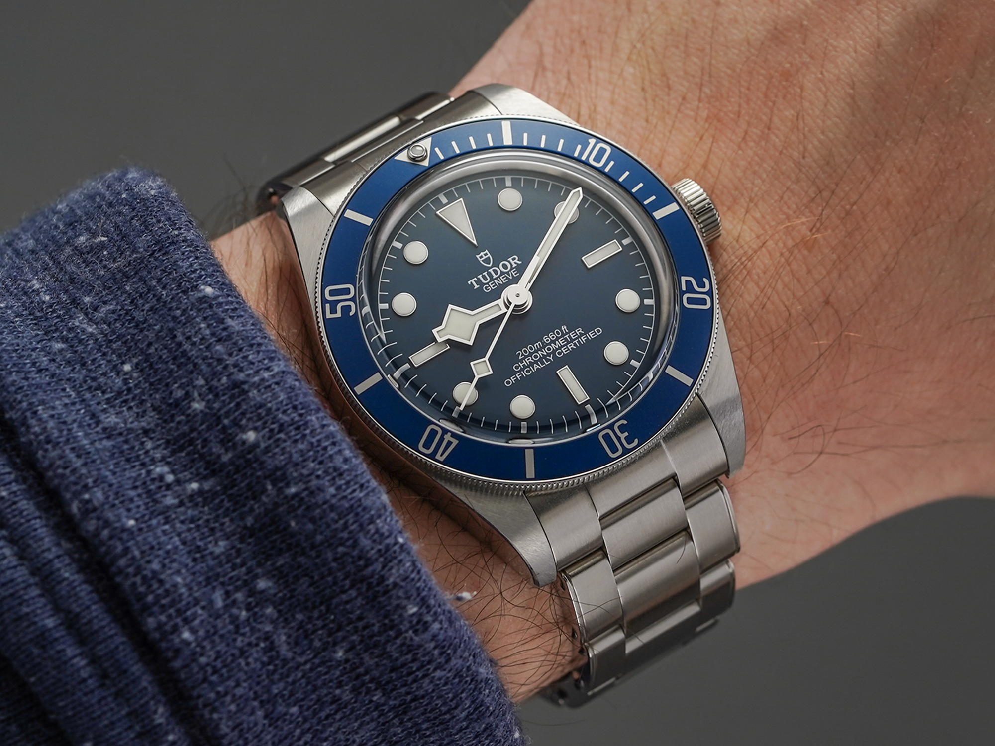 A Comprehensive Guide to the Tudor Black Bay In Switzerland