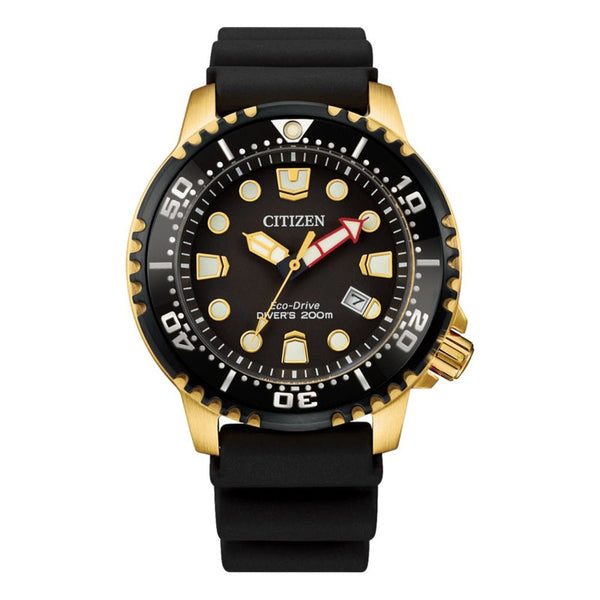 Women's Promaster Dive Citizen Eco-Drive Watch 001-505-01488, Classic  Creations In Diamonds & Gold